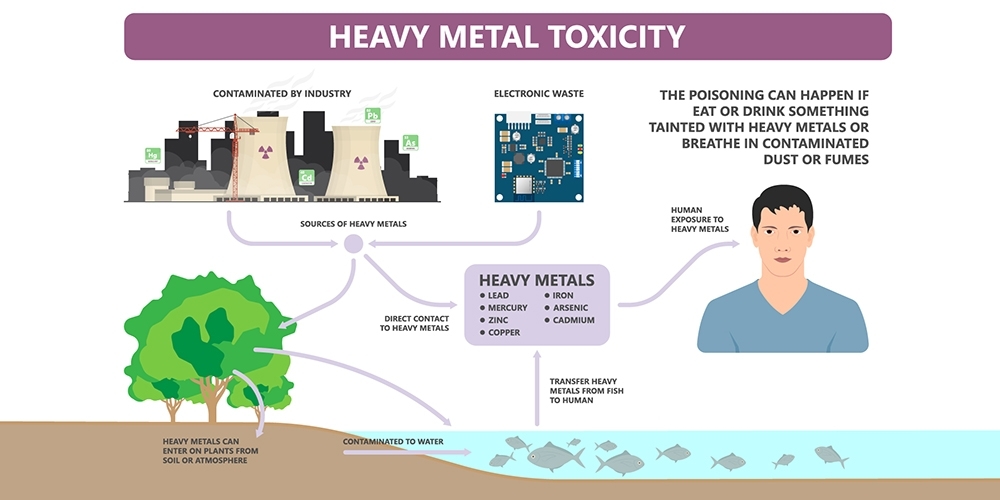 LINE_ALBUM_Metal Toxicity_๒๑๑๒๐๓_2